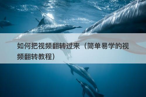 如何把视频翻转过来（简单易学的视频翻转教程）