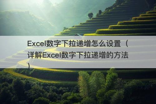 Excel数字下拉递增怎么设置（详解Excel数字下拉递增的方法）