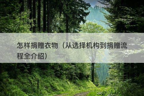 怎样捐赠衣物（从选择机构到捐赠流程全介绍）