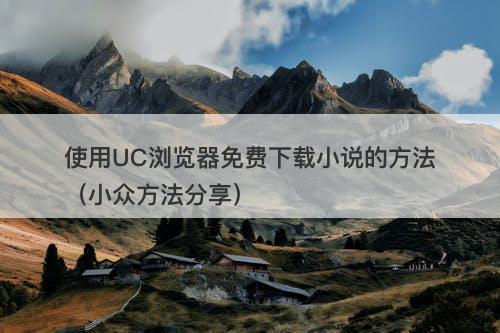 使用UC浏览器免费下载小说的方法（小众方法分享）