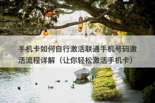 手机卡如何自行激活联通手机号码激活流程详解（让你轻松激活手机卡）