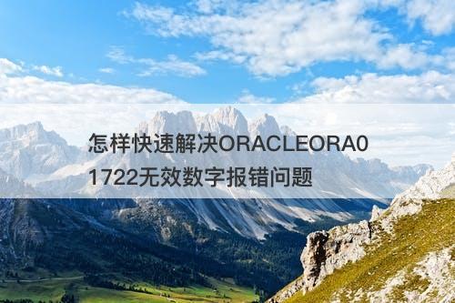 怎样快速解决ORACLEORA01722无效数字报错问题