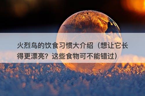 火烈鸟的饮食习惯大介绍（想让它长得更漂亮？这些食物可不能错过）