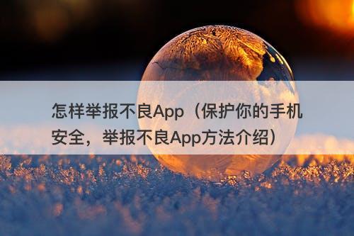 怎样举报不良App（保护你的手机安全，举报不良App方法介绍）