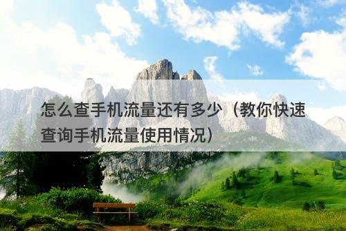 怎么查手机流量还有多少（教你快速查询手机流量使用情况）
