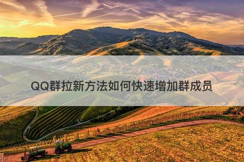 QQ群拉新方法如何快速增加群成员