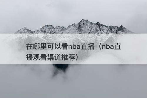 在哪里可以看nba直播（nba直播观看渠道推荐）