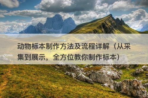动物标本制作方法及流程详解（从采集到展示，全方位教你制作标本）