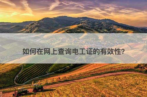 如何在网上查询电工证的有效性？