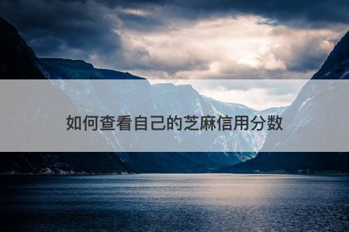 如何查看自己的芝麻信用分数