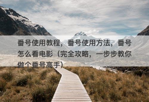 番号使用教程，番号使用方法，番号怎么看电影（完全攻略，一步步教你做个番号高手）