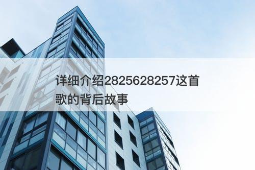 详细介绍2825628257这首歌的背后故事