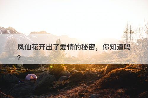凤仙花开出了爱情的秘密，你知道吗？