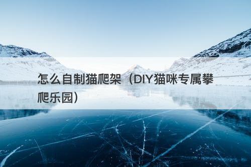 怎么自制猫爬架（DIY猫咪专属攀爬乐园）-图1