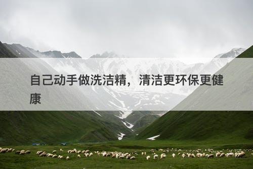 自己动手做洗洁精，清洁更环保更健康