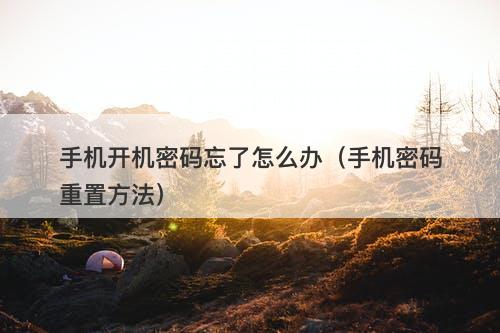 手机开机密码忘了怎么办（手机密码重置方法）