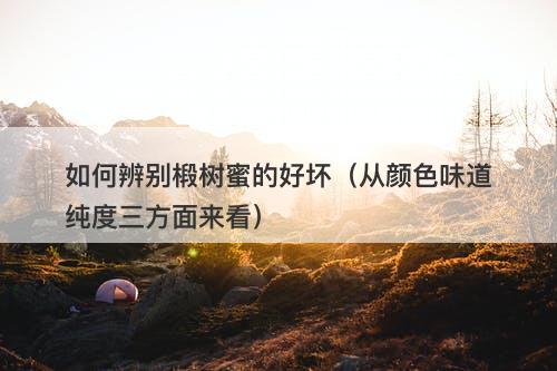 如何辨别椴树蜜的好坏（从颜色味道纯度三方面来看）-图1