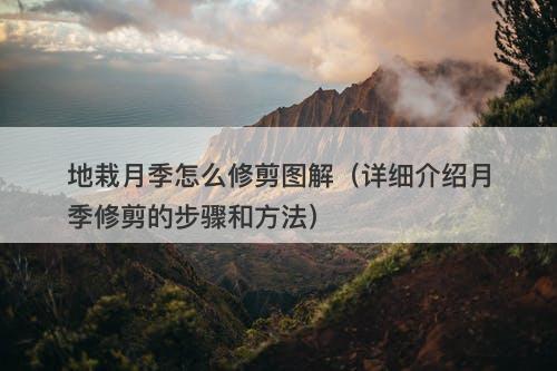 地栽月季怎么修剪图解（详细介绍月季修剪的步骤和方法）