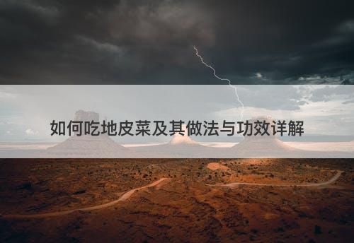 如何吃地皮菜及其做法与功效详解