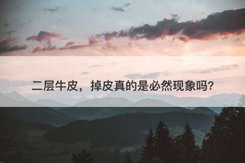 二层牛皮，掉皮真的是必然现象吗？