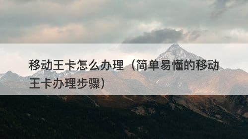 移动王卡怎么办理（简单易懂的移动王卡办理步骤）-图1