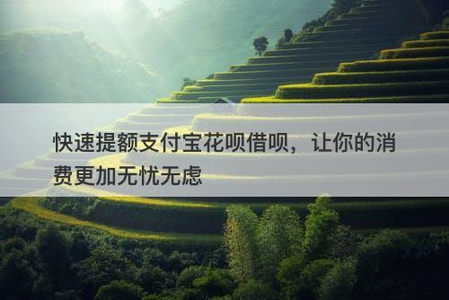 快速提额支付宝花呗借呗，让你的消费更加无忧无虑-图1