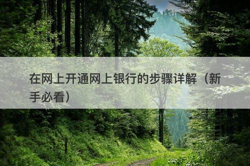 在网上开通网上银行的步骤详解（新手必看）