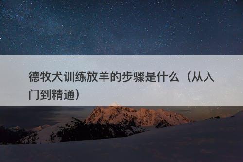 德牧犬训练放羊的步骤是什么（从入门到精通）
