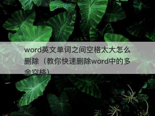 word英文单词之间空格太大怎么删除（教你快速删除word中的多余空格）