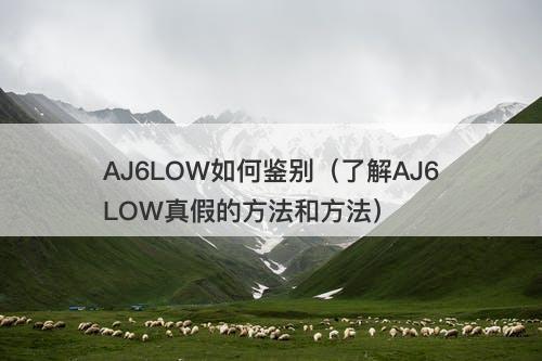 AJ6LOW如何鉴别（了解AJ6LOW真假的方法和方法）
