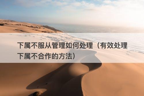 下属不服从管理如何处理（有效处理下属不合作的方法）