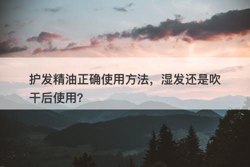 护发精油正确使用方法，湿发还是吹干后使用？