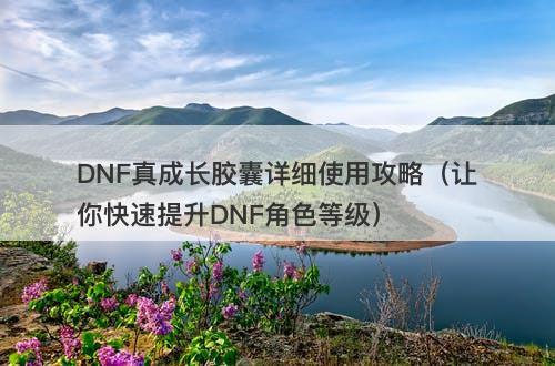 DNF真成长胶囊详细使用攻略（让你快速提升DNF角色等级）