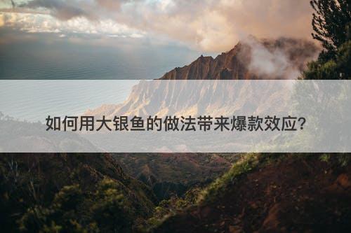如何用大银鱼的做法带来爆款效应？