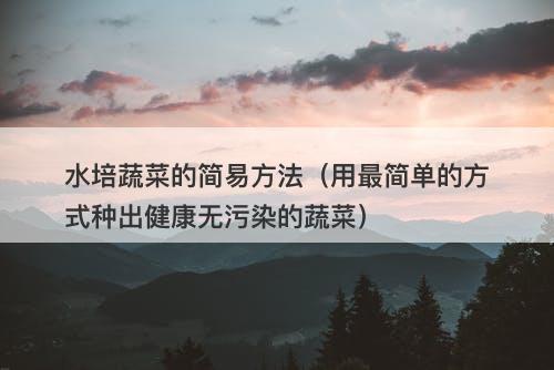 水培蔬菜的简易方法（用最简单的方式种出健康无污染的蔬菜）