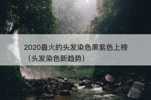2020最火的头发染色黑紫色上榜（头发染色新趋势）