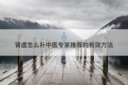 肾虚怎么补中医专家推荐的有效方法