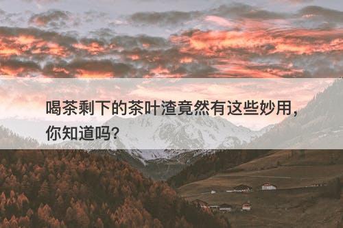 喝茶剩下的茶叶渣竟然有这些妙用，你知道吗？