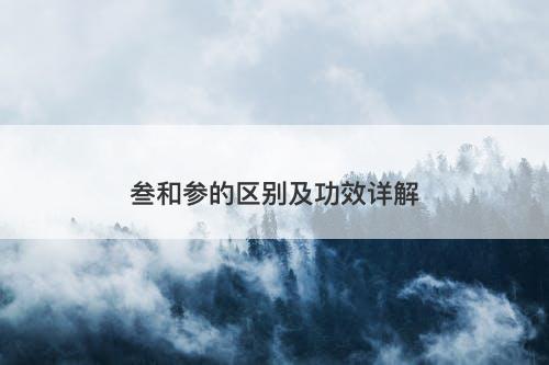 叁和参的区别及功效详解