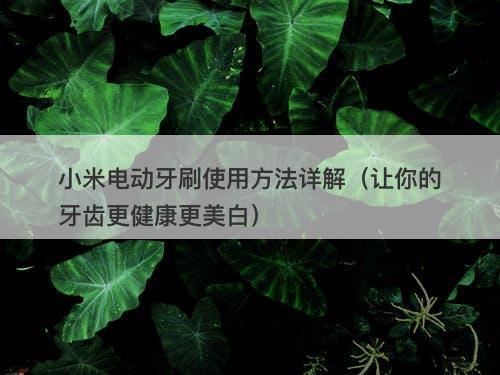 小米电动牙刷使用方法详解(让你的牙齿更健康更美白)-图1 小米电动牙刷使用方法详解(让你的牙齿更健康更美白)-图1