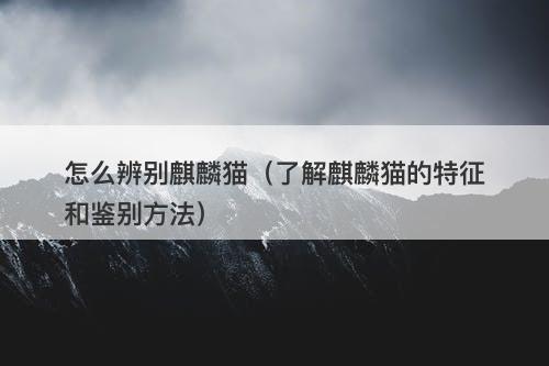 怎么辨别麒麟猫（了解麒麟猫的特征和鉴别方法）