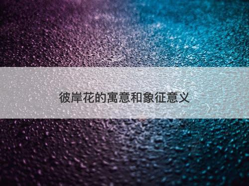 彼岸花的寓意和象征意义