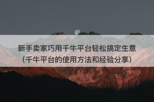 新手卖家巧用千牛平台轻松搞定生意（千牛平台的使用方法和经验分享）