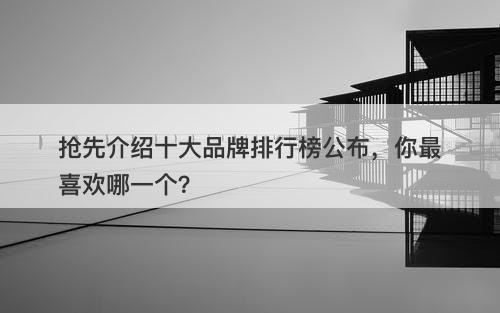 抢先介绍十大品牌排行榜公布，你最喜欢哪一个？