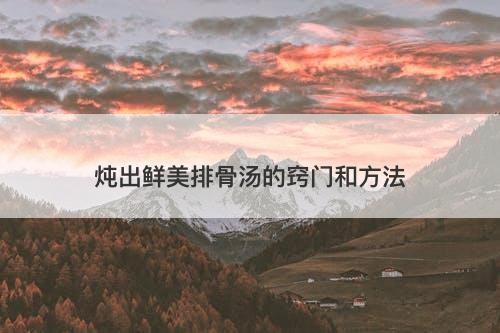 炖出鲜美排骨汤的窍门和方法