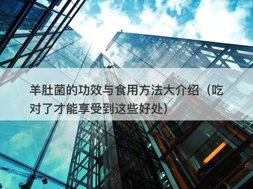 羊肚菌的功效与食用方法大介绍（吃对了才能享受到这些好处）