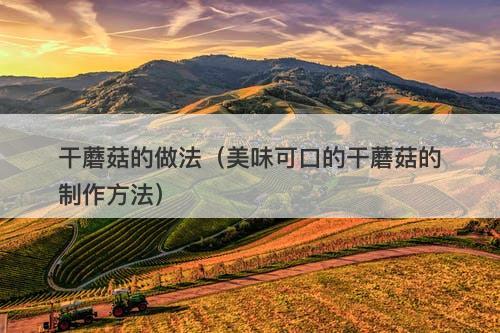 干蘑菇的做法（美味可口的干蘑菇的制作方法）