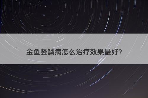 金鱼竖鳞病怎么治疗效果最好？
