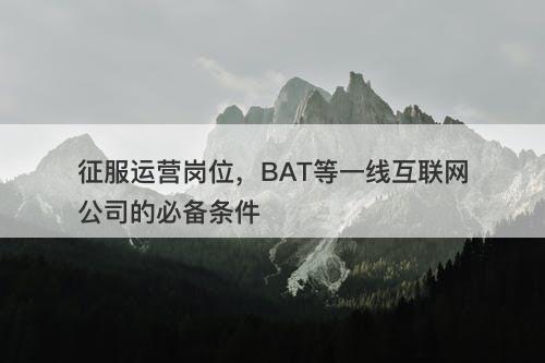 征服运营岗位，BAT等一线互联网公司的必备条件