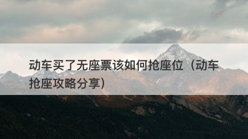 动车买了无座票该如何抢座位（动车抢座攻略分享）